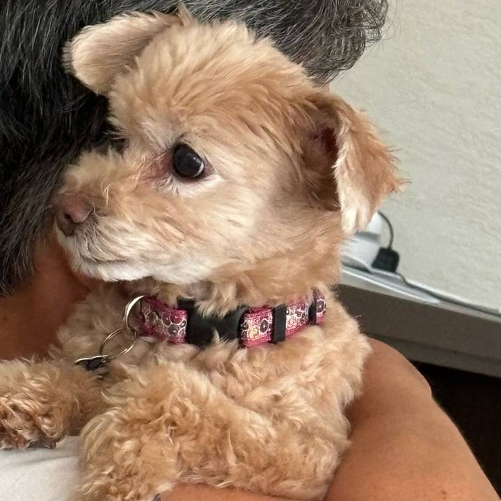 B64695fc 720d 4fb1 9b0e 7d49c2006307 1727483122297