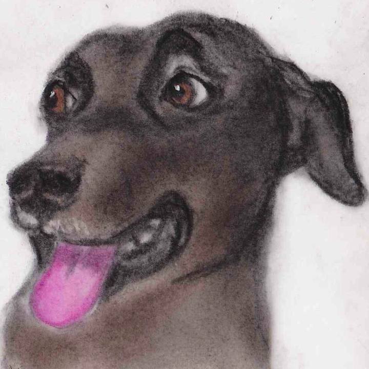 B646b627 03d7 4419 8adf 52e793659746 1641996407622