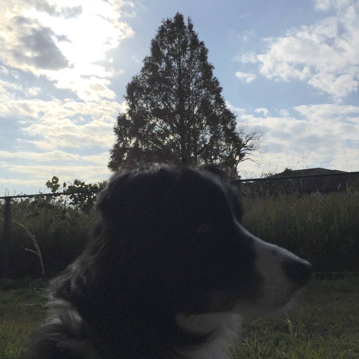 B646c75c 85ec 41a5 b8dd 807439d8f77d 1542945808093