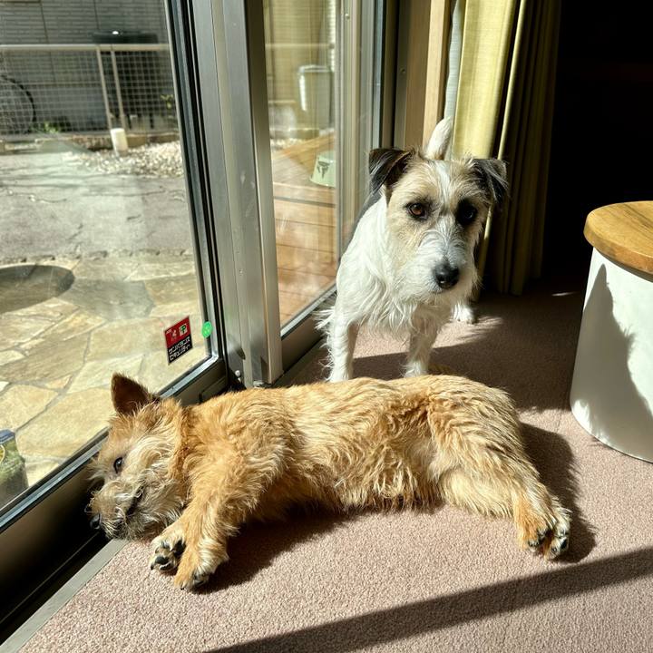 B646d419 ebef 43b2 994a 8fbf4af9a5cc 1709083297850