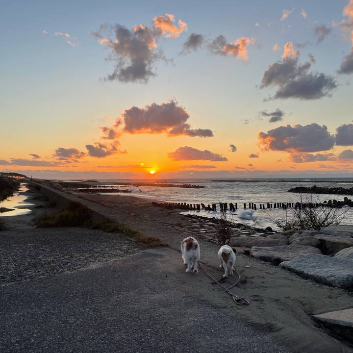 B646d91c 7c0d 4a02 97dd 668be4d9da26 1730276683685