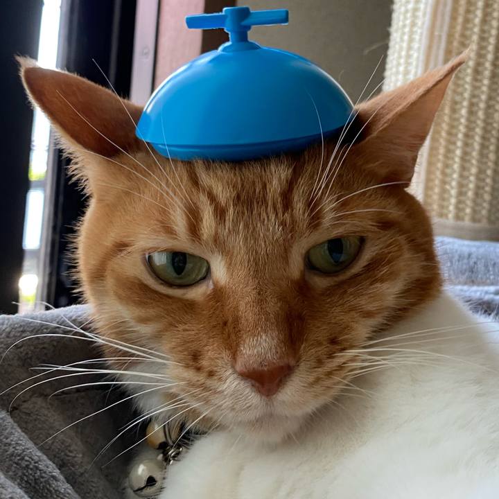 B6473885 c1e6 497c be5b 3cf275fd120f 1756546061213