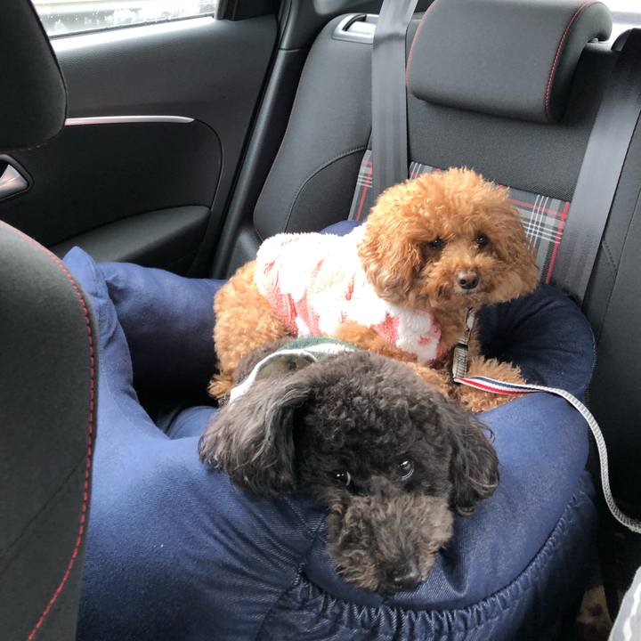 B6476c59 3589 4cc6 94d7 488e1e362dd8 1582958272388