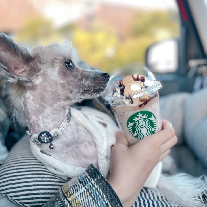 B6479d79 8146 4dac 940f 9bfeac89de2a 1762421831674