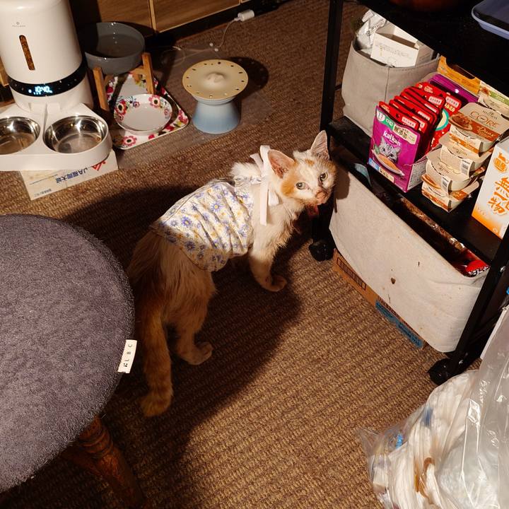 B647e6a4 9e4b 429f bd48 78fdd4a7a467 1759066655769