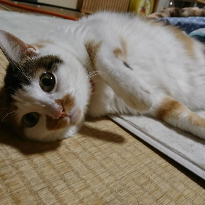 B647f16c 834f 46b3 ae38 71ff48c2650d 1514503423345