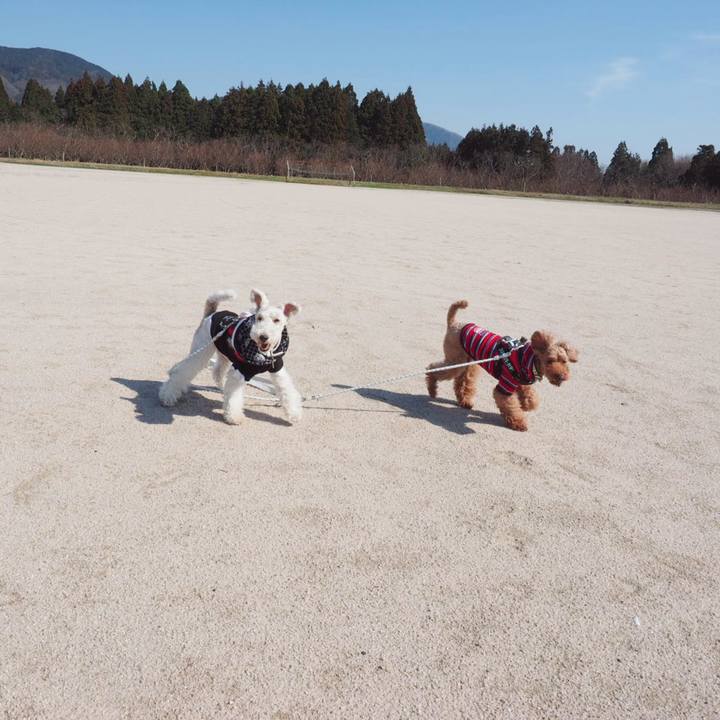 B6480a43 8be7 49f7 bed4 dee524ef5fea 1551505355782