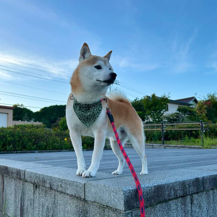 B6482b3e 7b8d 45e5 a783 08695981f5ab 1757069469426