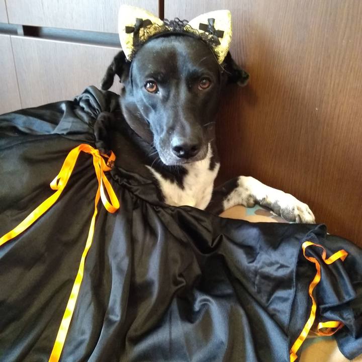 B648574f 9d3a 4852 9664 e76ddc4c648b 1604106575410