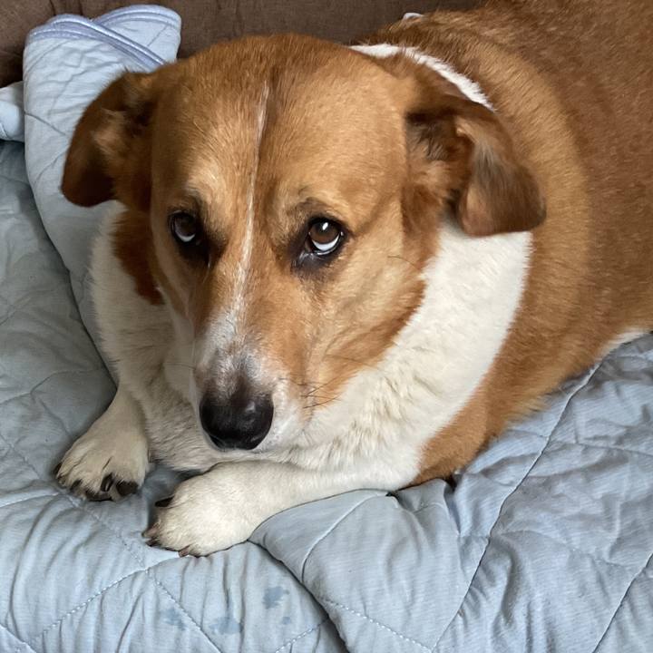 B6486d35 3e4e 417b 913e 0eeb625ef04e 1747962660105