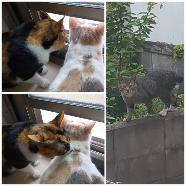 B648793b 4229 4a99 b5c3 efe92411feeb 1682393735936