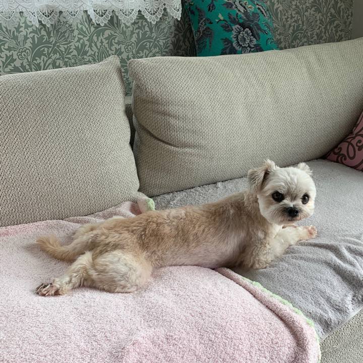 B6487fc9 d865 4cae 9f5d c4831411ad57 1600141690450