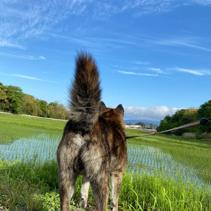 B6489c61 110d 4825 b211 70ac73db1060 1590617610513