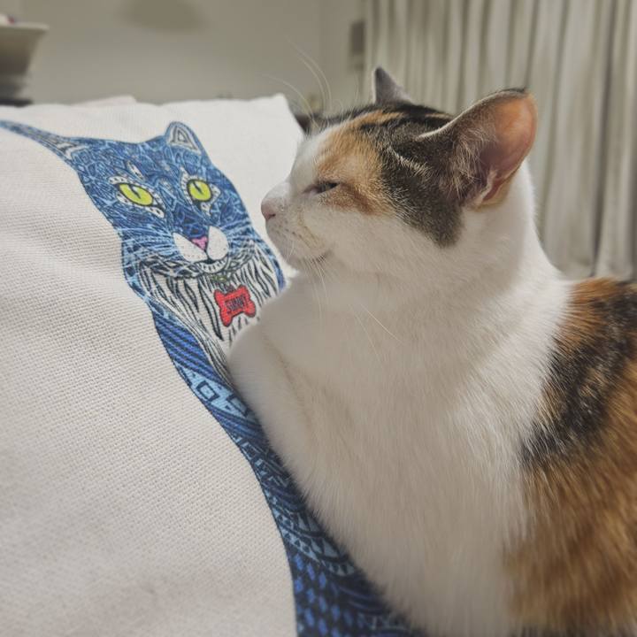 B648b2c7 74c2 4f1f 96aa 9c25195665ce 1772587667441