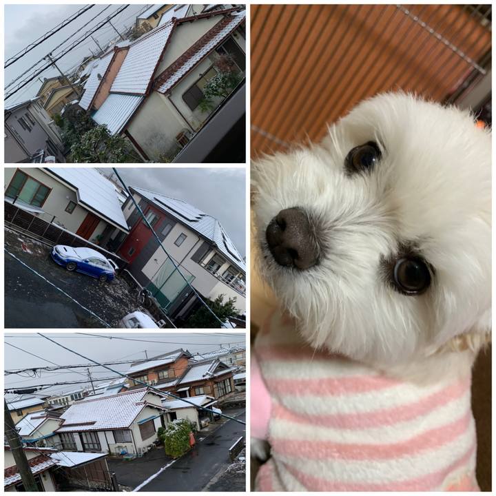 B648ca5c 52e9 4f8b 8df9 4d5227ce113f 1639795108107