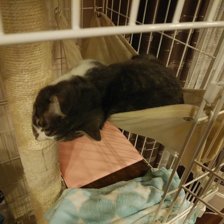 B648e6b1 33da 4c9b 8bd5 9064bccbdd17 1576848051031