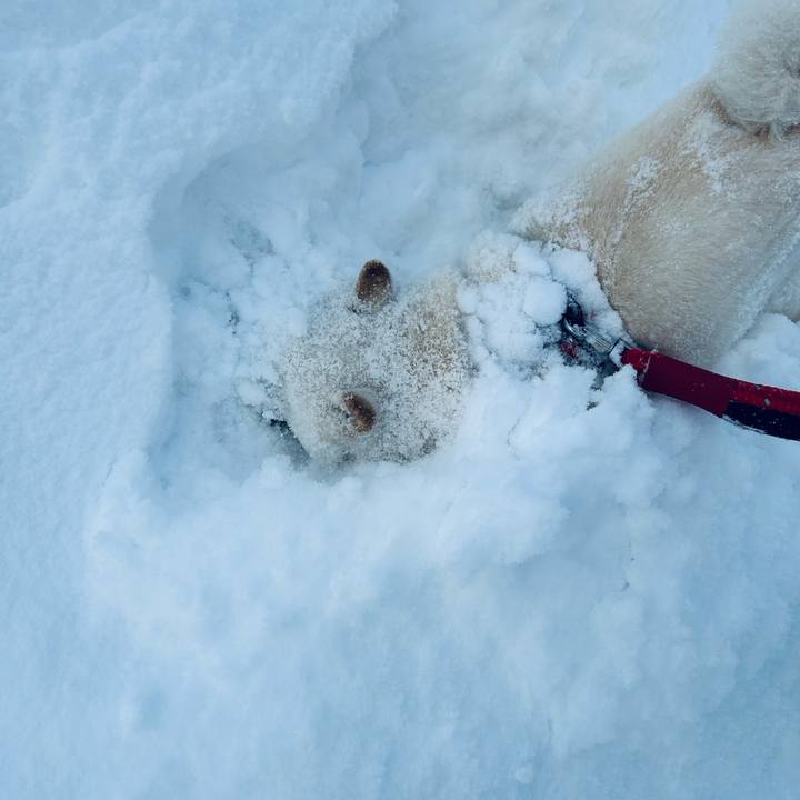 B64905c9 a75d 4ed1 b83c 1ee60f4a6f11 1708643111689