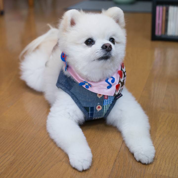 B6490e03 dd10 4a01 bb07 c017cec4b216 1526720011574