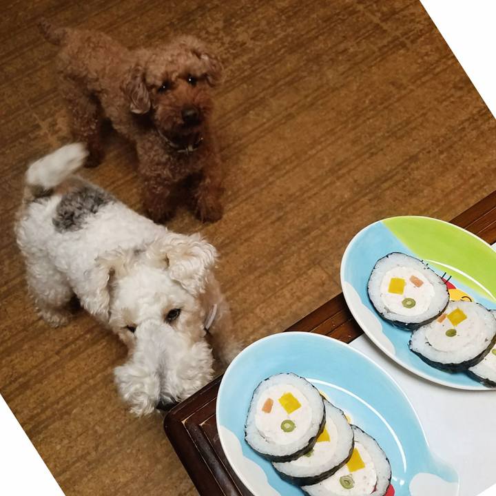 B6492f0b fa24 4724 b2ec 967caca27235 1517662690864