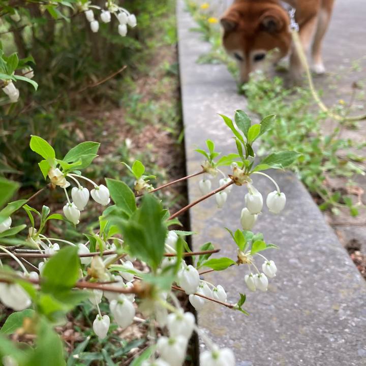 B6493eb7 57a5 47de afa8 e4e9d608fca8 1680854623555