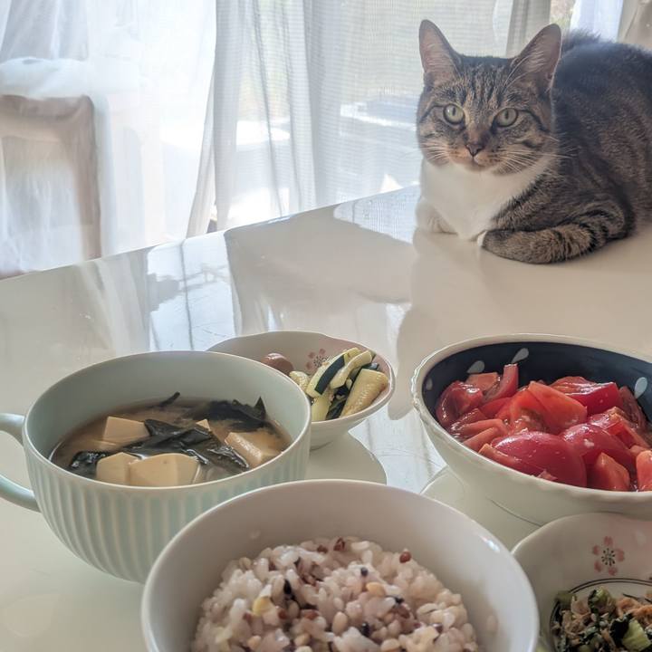 B6495576 b515 4295 b38e eeaa866dbf00 1751933360214