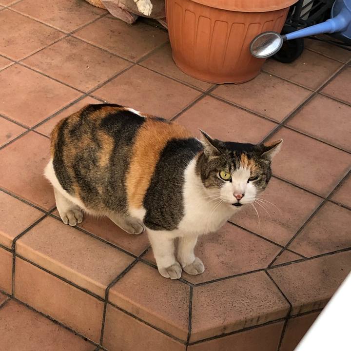 B6496777 2a08 4b55 87f9 750f3f5318ff 1542789479623