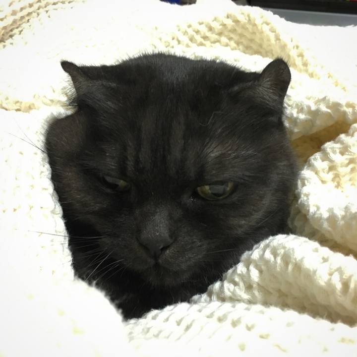 B6496fb8 db6e 43ba bab4 1da723731b4b 1575815852153