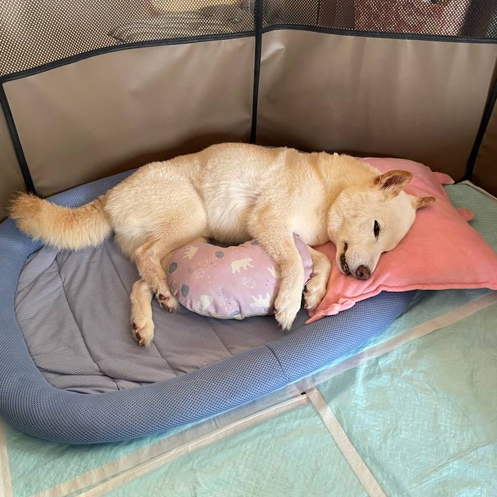 B6498c1b 88e2 410b 8aec 173f404e0d23 1652960051253