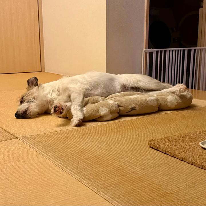 B649a08c 2d6a 4300 b801 8ebc2c9b2c59 1773831399941