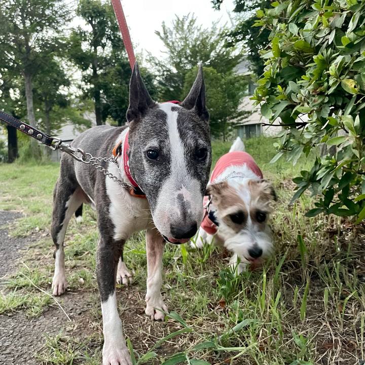 B64a3071 8ebd 4f16 a318 a295223dbf7a 1628598821488