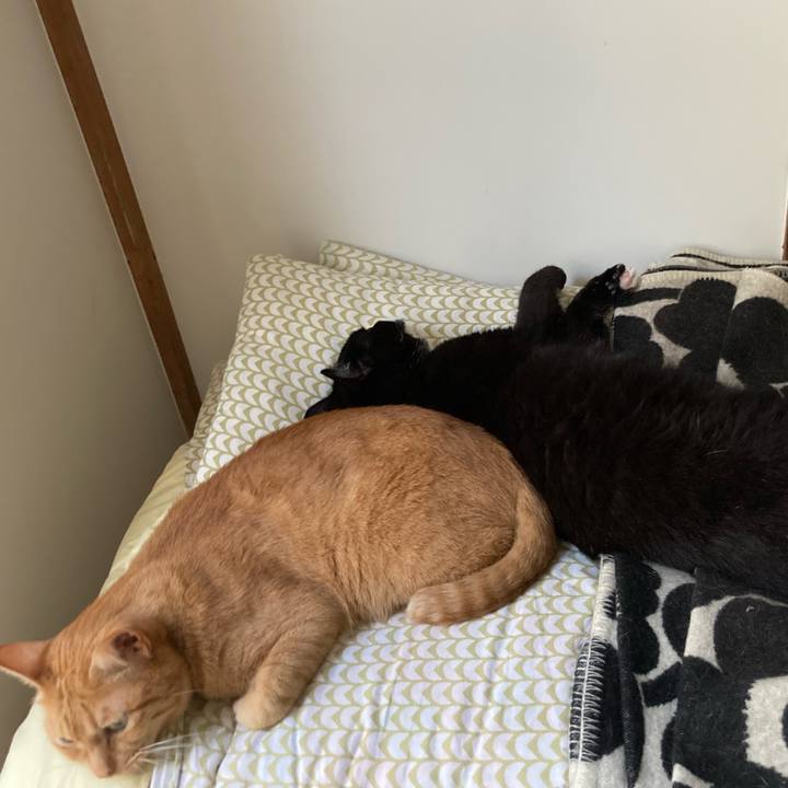 B64a3475 fa1f 41a0 bc19 494bae5a130f 1633349352964