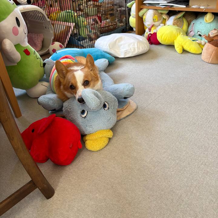 B64a3edb 8869 42e8 9eb2 a8476dcae977 1773204201397