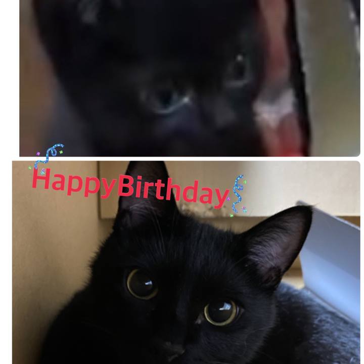 B64a5246 902c 41e9 96d6 a13fed40f76b 1631535920109