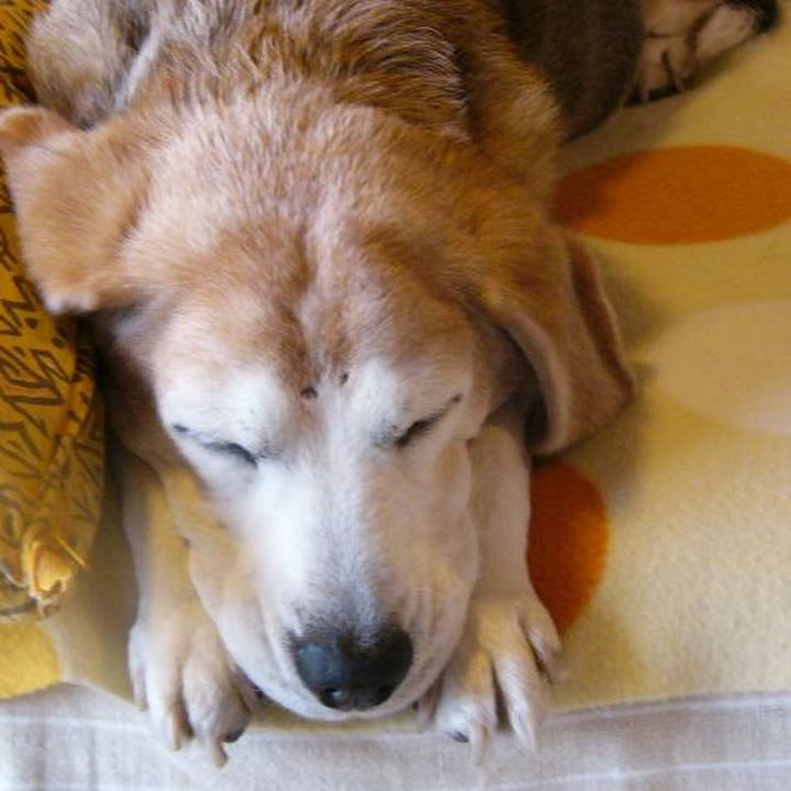 B64a7c1c 9a0c 403e 9bfb b339b328e34e 1677289348099