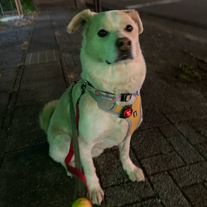 B64a7f9b 6158 47ae 8ec3 e0e41663994d 1578572085746