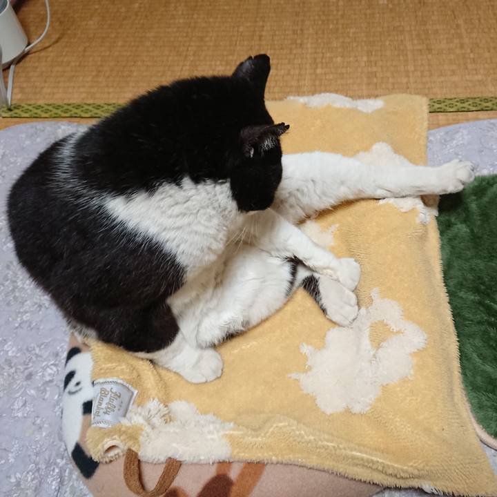 B64abb22 0353 4754 944b b06ecfb85be0 1651142934506