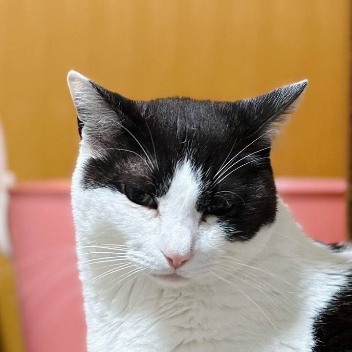 B64af473 4184 4889 b203 e2bedec9cfd2 1686014696496