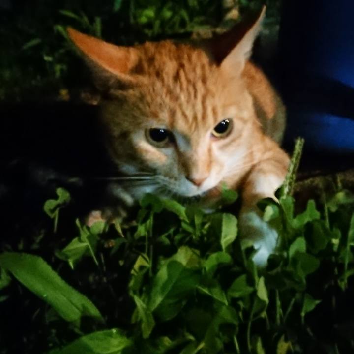 B64b045d d6c3 43dd 95a7 3bbd91800cb0 1564312109547