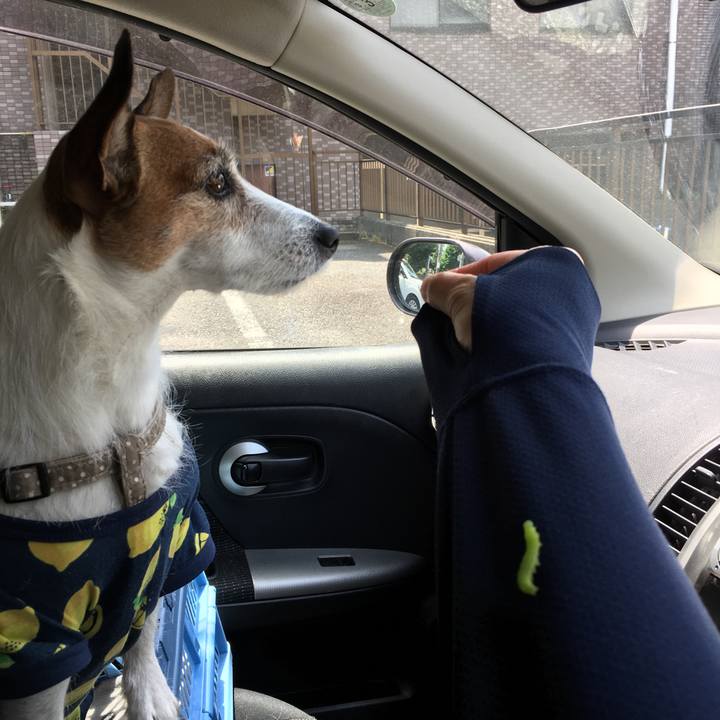 B64b495a 5c20 4fd4 ab38 c79331149eb3 1620689518413