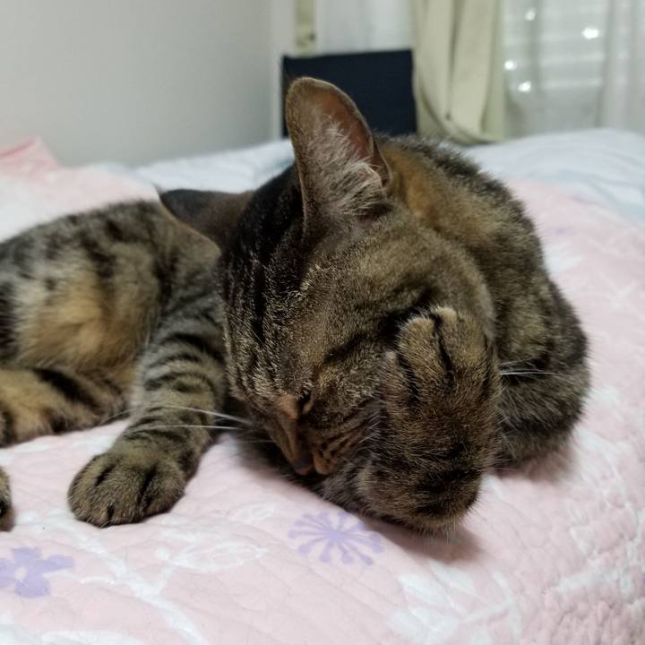 B64b701f 32b6 4a54 a5c1 cd31cd29df8a 1623965418668