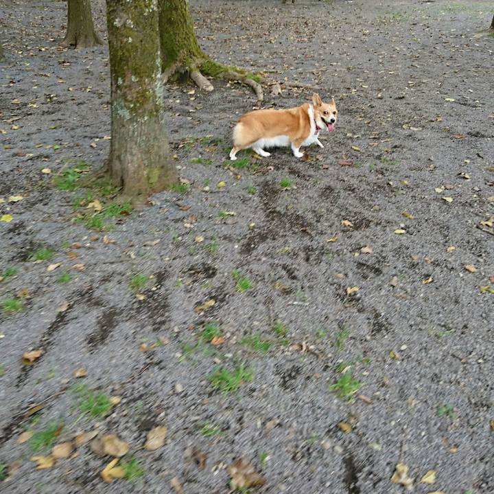 B64b9d97 1314 4500 b205 5371185ee612 1509191995811