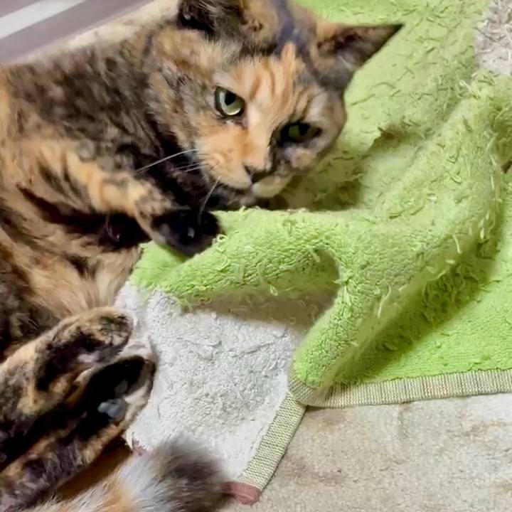 B64ba81a 9d22 43e3 970d 8f88f59871a3 1767558625868