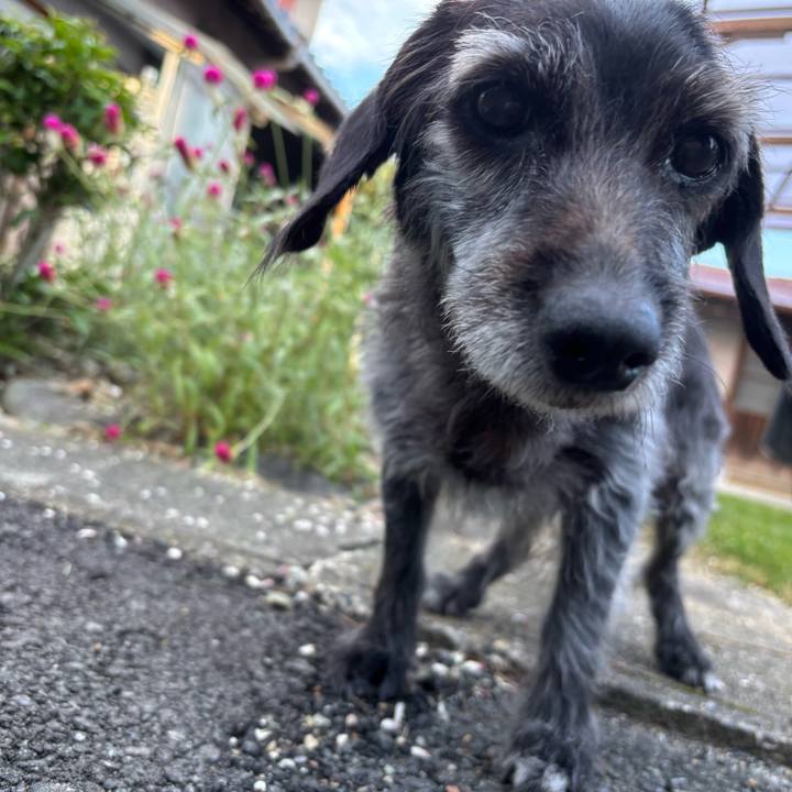 B64bb6f2 f22d 4d59 89bb 5f31d9362440 1758840927334