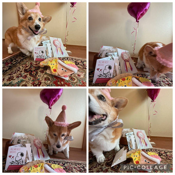 B64bc66d 7b0a 42ea aa71 d83468e9b4ba 1763180646059