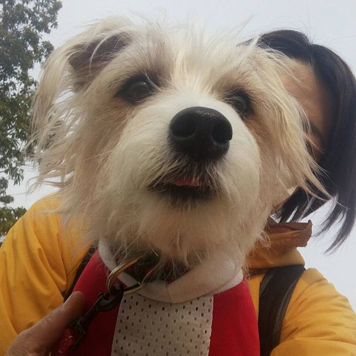 B64bd17a da86 4a78 aea5 3ccebfdbefdd 1586940992787