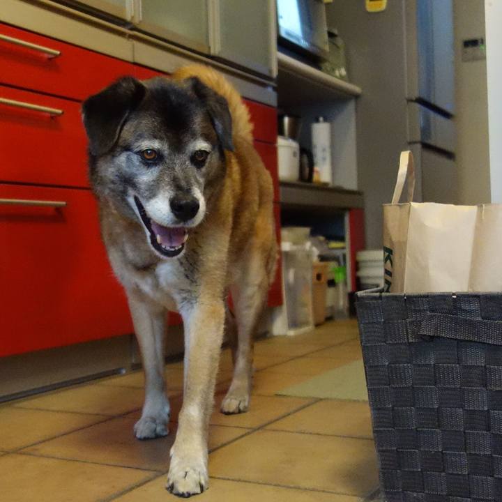 B64be2a2 9c2a 40a6 a144 872c66c256cb 1637802252962