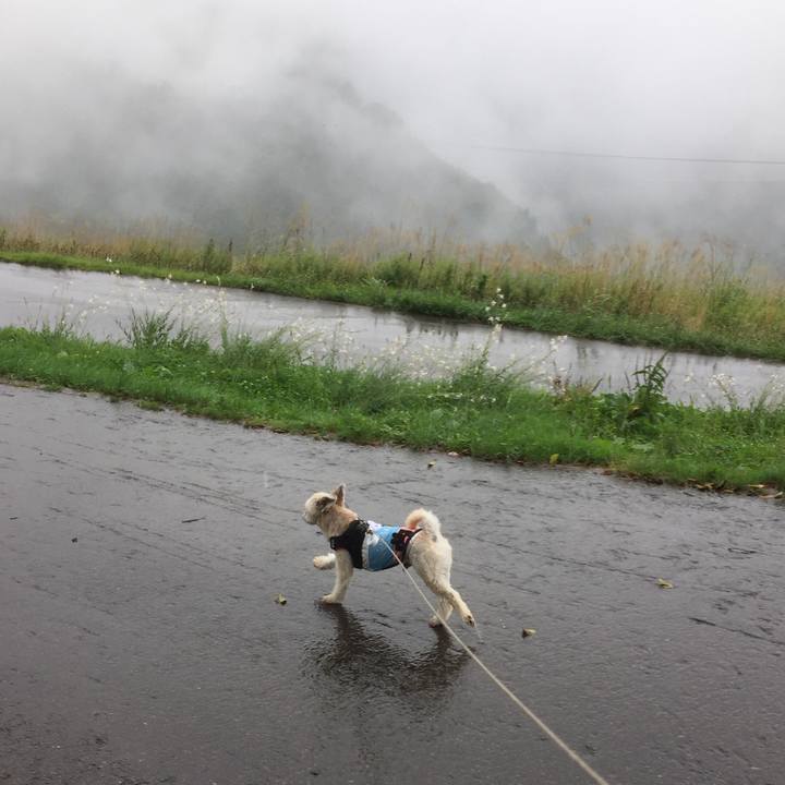 B64c2a54 ef8e 43c6 8bd0 4a6cf2b727a3 1535712708972