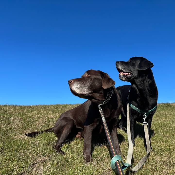 B64c35fc af58 4508 81dd d7ba83e2f173 1763206389790