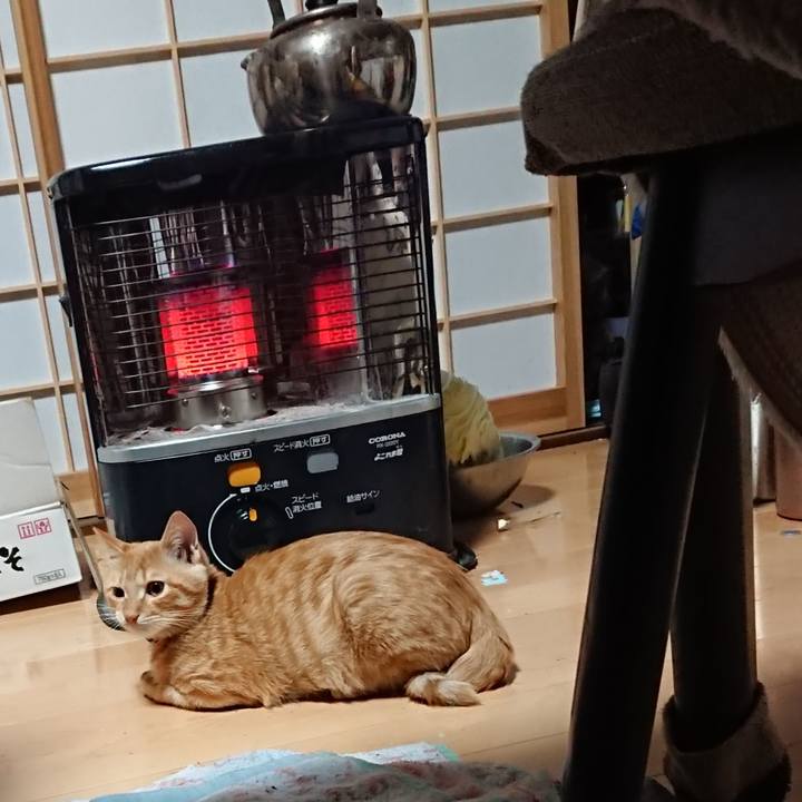 B64c3e9c cda8 4b3c b852 54b9aa9cdbbb 1635021800942