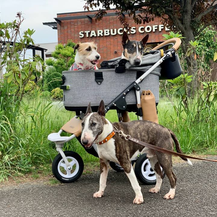 B64c40e4 f659 4b42 828e 0f8dc2a9a5b1 1621858034346